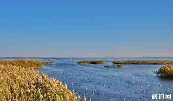 成都到額濟納胡楊林8天旅游路線推薦