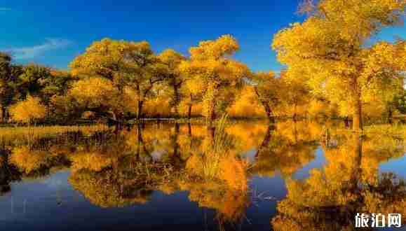 成都到額濟納胡楊林8天旅游路線推薦