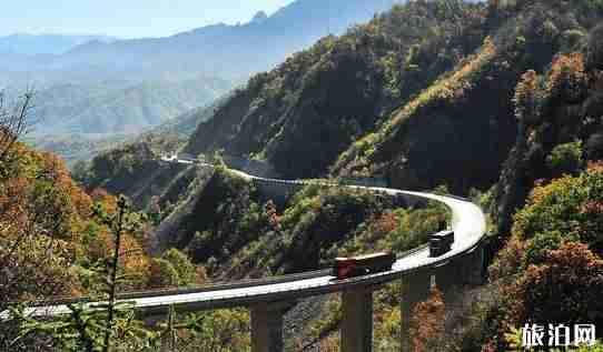 成都到額濟納胡楊林8天旅游路線推薦