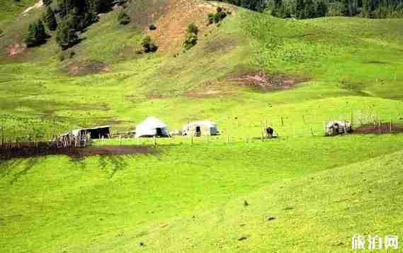 從哈密進新疆自駕游15天旅游路線推薦 從哈密進新疆自駕游15天旅游路線推薦