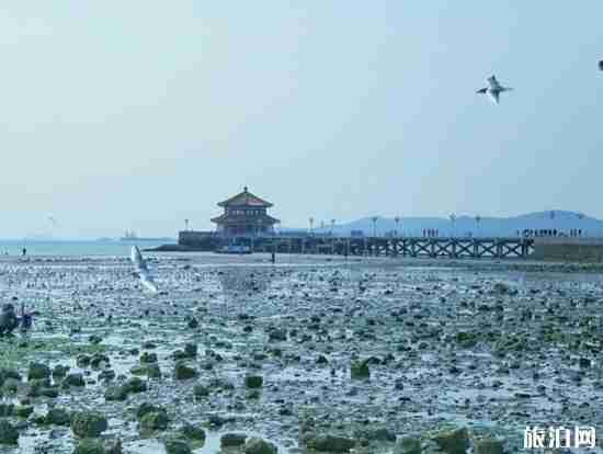 北京旅游專列有哪些2018年9月 北京旅游專列有哪些2018年9月