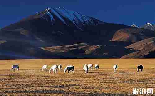 十一西藏旅游攻略2018 十一西藏旅游攻略2018