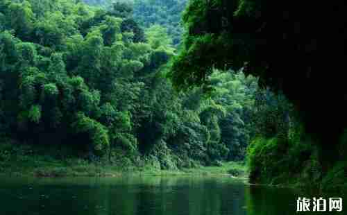 2018國內有哪些竹海+地址+票價 2018國內有哪些竹海+地址+票價