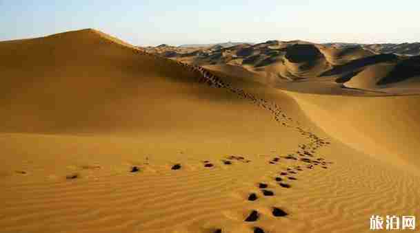 河西走廊旅游路線 河西走廊北疆大環線推薦 河西走廊旅游路線 河西走廊北疆大環線推薦