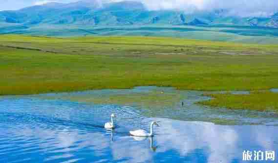 河西走廊旅游路線 河西走廊北疆大環線推薦 河西走廊旅游路線 河西走廊北疆大環線推薦