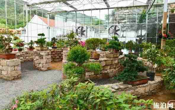 威海榮成民宿推薦 威海榮成民宿推薦