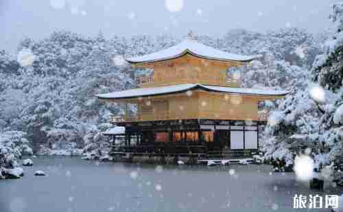 日本當地上網卡哪種好 日本上網softbank好還是docomo好