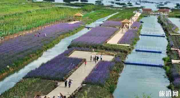 成都到貴州自駕游9天線路推薦 成都到貴州自駕游9天線路推薦