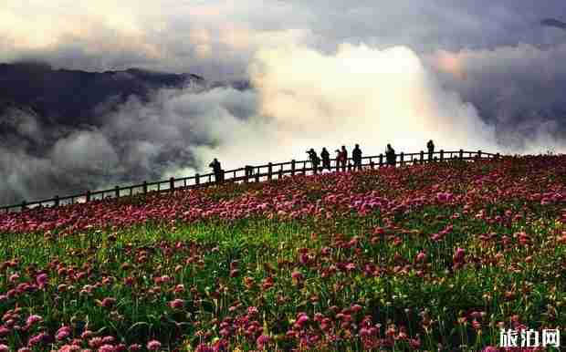 成都到貴州自駕游9天線路推薦 成都到貴州自駕游9天線路推薦