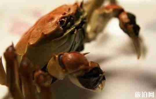 河北螃蟹哪里最好 河北螃蟹哪里最好