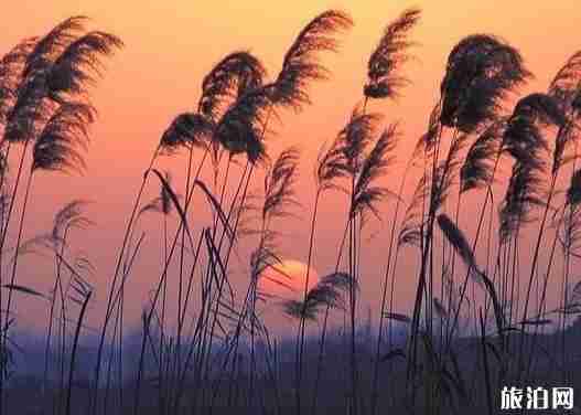 河北螃蟹哪里最好 河北螃蟹哪里最好