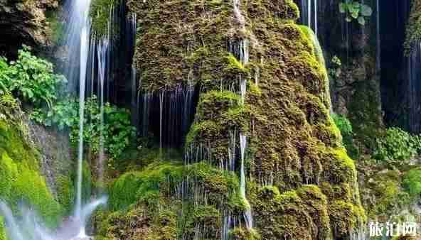 河南2018年教師節免費景點