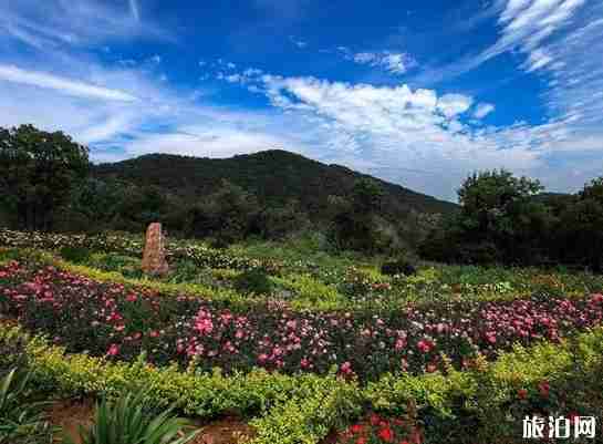 河南2018年教師節免費景點