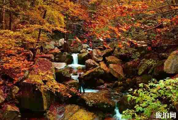 河南2018年教師節免費景點