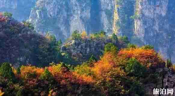 河南2018年教師節免費景點