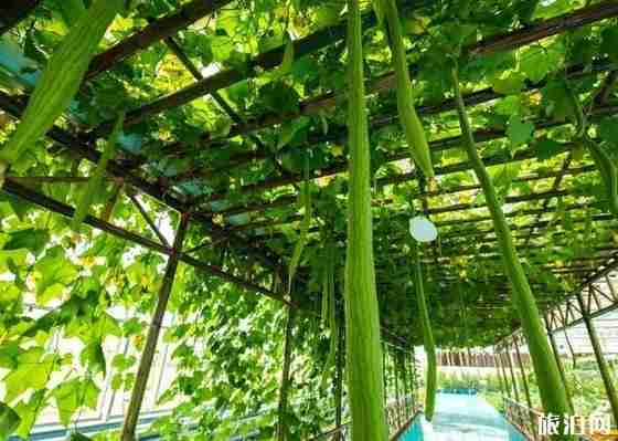 2018教師節免費景點 湖南優惠景點有哪些