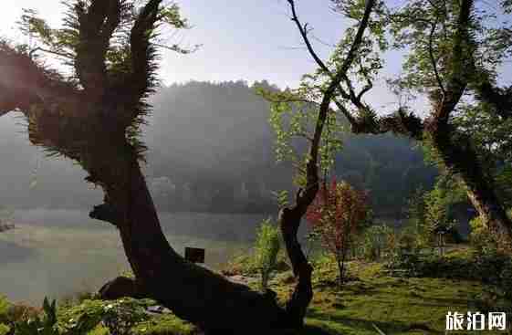 2018教師節免費景點 湖南優惠景點有哪些