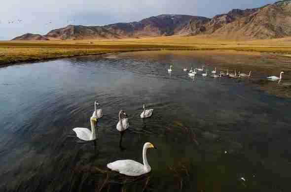 新疆7日游旅游路線推薦