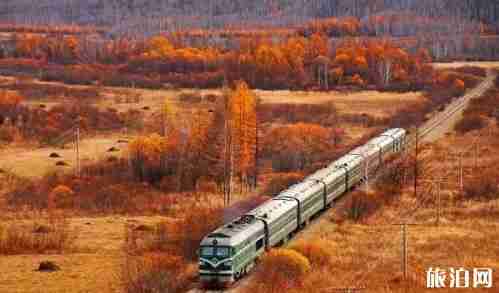 大興安嶺9月賞秋景點推薦