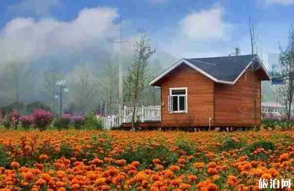 商洛旅游線路秋天旅游路線推薦