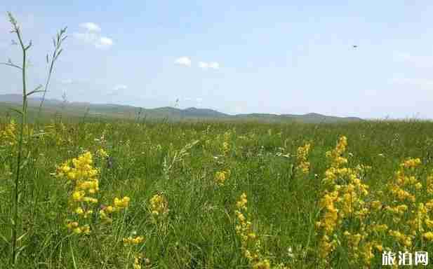 阿爾山到赤峰自駕游游玩攻略 十天行程安排