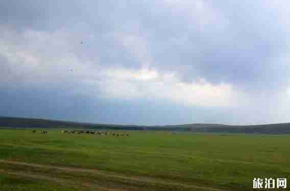 阿爾山到赤峰自駕游游玩攻略 十天行程安排