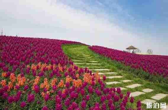 余杭市民卡免費景點 余杭市民優惠政策