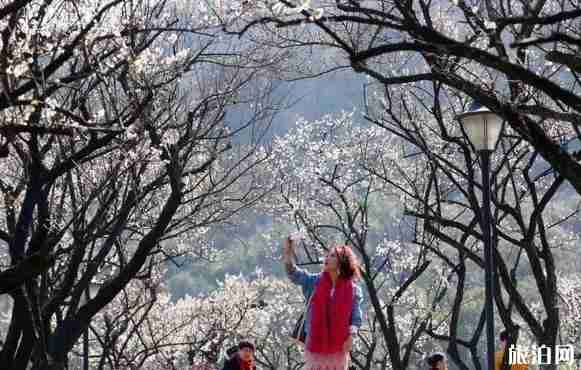 余杭市民卡免費景點 余杭市民優惠政策