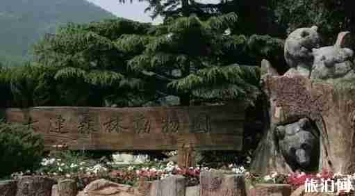 遼寧十一旅游哪里好 遼寧十一旅游最全攻略 遼寧十一旅游哪里好 遼寧十一旅游最全攻略