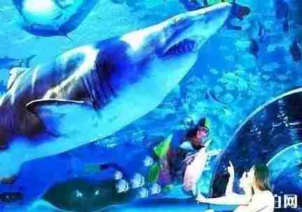 遼寧十一旅游哪里好 遼寧十一旅游最全攻略 遼寧十一旅游哪里好 遼寧十一旅游最全攻略