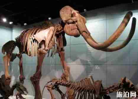 余杭市民卡免費景點 余杭市民優惠政策