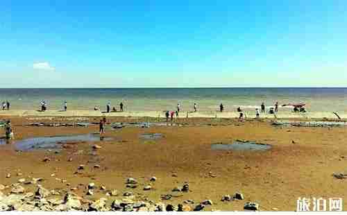 天津有免費海灘 天津免費海灘介紹 