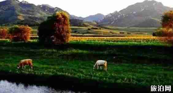 遼寧十一旅游哪里好 遼寧十一旅游最全攻略 遼寧十一旅游哪里好 遼寧十一旅游最全攻略