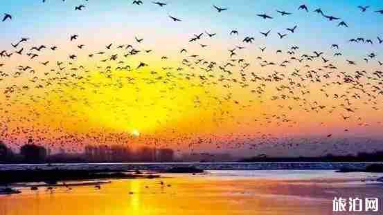 遼寧4a景區名單2018 遼寧4a景區游玩攻略