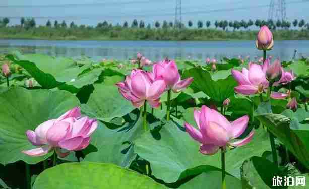 遼寧4a景區名單2018 遼寧4a景區游玩攻略