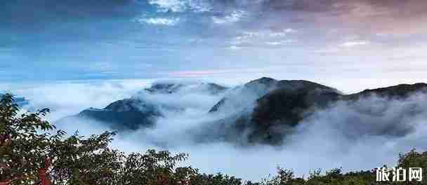 嵩山登山年證辦理地點 嵩山登山證辦理條件 嵩山登山年證辦理地點 嵩山登山證辦理條件