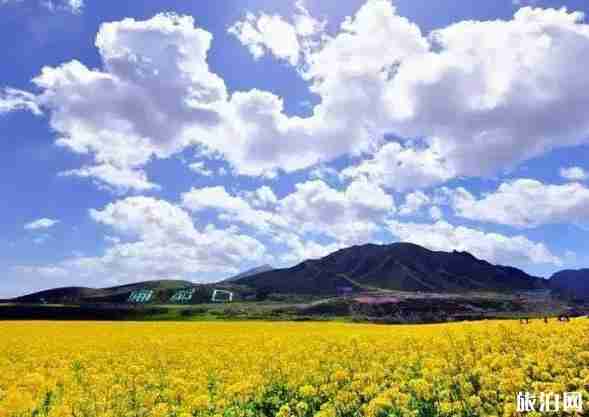 十一去哪旅游 十一西北旅游景點推薦 十一去哪旅游 十一西北旅游景點推薦