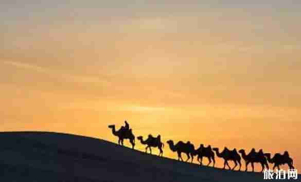 內蒙古秋天最美的地方推薦