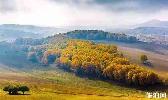 內蒙古秋天最美的地方推薦