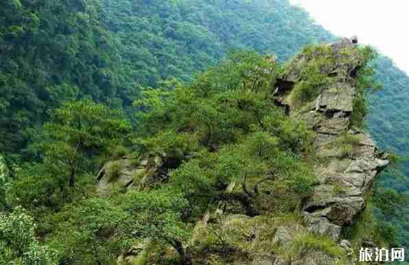 昌廈高鐵最新消息 昌廈高鐵時(shí)速+經(jīng)過(guò)城市