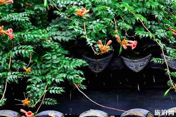 梅雨季節是什么時間 梅雨形成原因