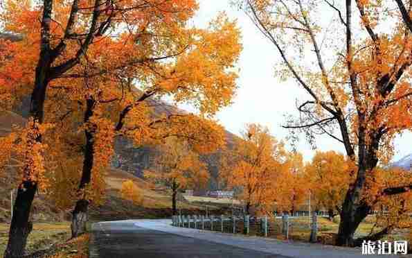 四川8天旅游攻略花費四千推薦 四川8天旅游攻略花費四千推薦