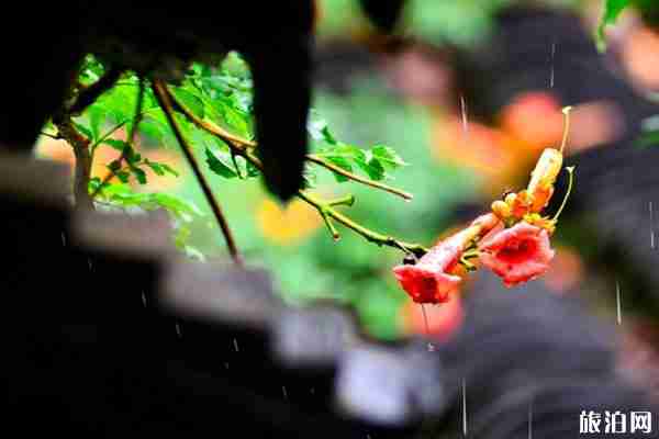 梅雨季節是什么時間 梅雨形成原因