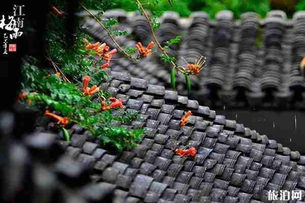 梅雨季节是什么时间2020 入梅和出梅日期
