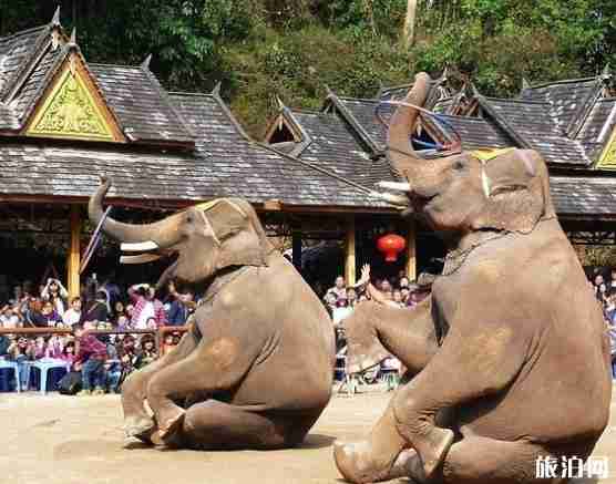 帶孩子適合去哪里旅游2018 適合不同年齡段的孩子的旅游地 帶孩子適合去哪里旅游2018 適合不同年齡段的孩子的旅游地