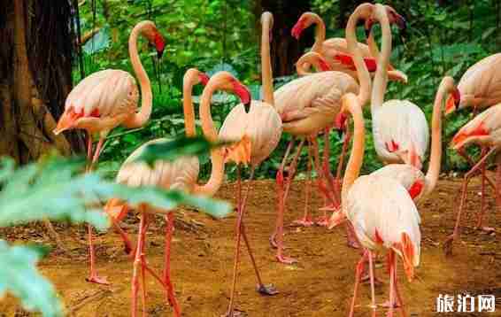 帶孩子適合去哪里旅游2018 適合不同年齡段的孩子的旅游地 帶孩子適合去哪里旅游2018 適合不同年齡段的孩子的旅游地