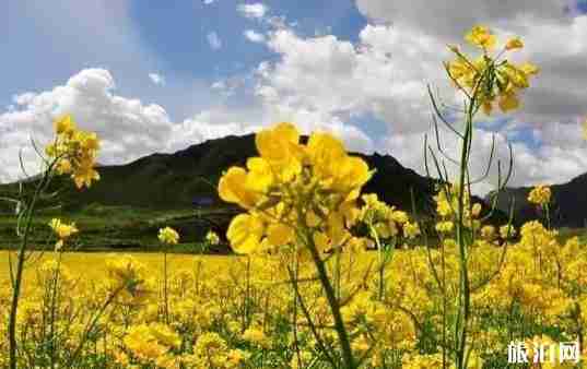 青海最佳旅游時間表