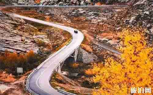 2018大西北旅游专列最新情况 2018大西北旅游专列最新情况