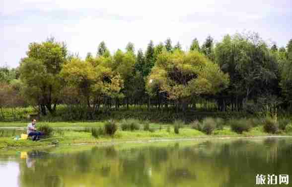 昆明新環湖南路怎么走 昆明新環湖南路風景推薦