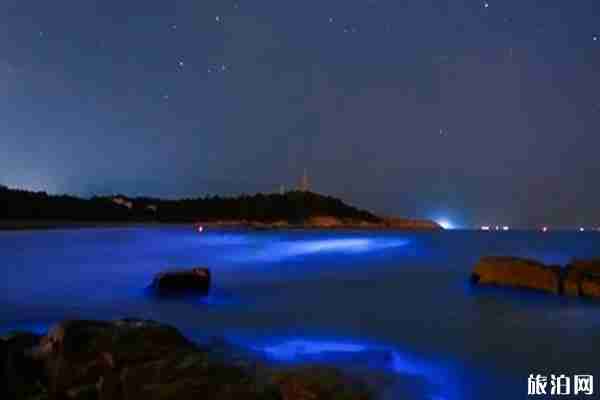 福建藍眼淚在哪里看